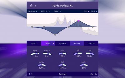 Perfect Plate XL